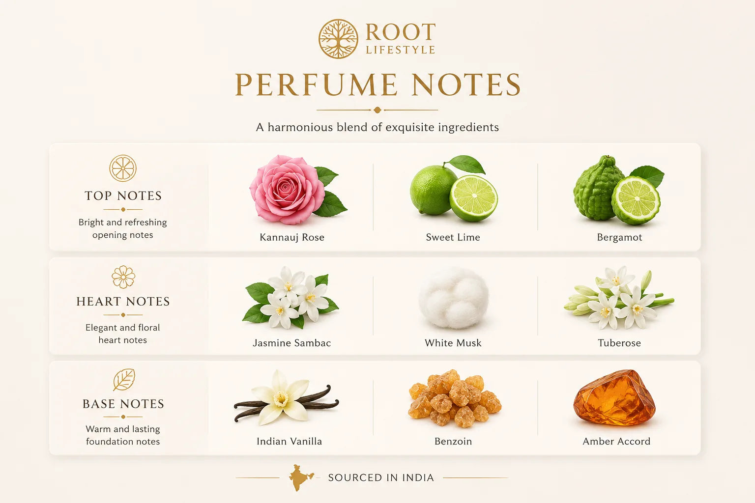 Memorable – Extrait de Parfum | 50ml | Luxury Unisex Perfume